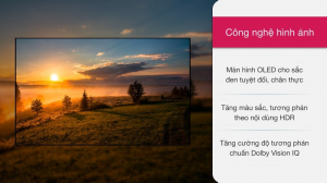 oled-lg-55a1pta-270721-1030300_801827b7fd50410ebad64612df787784.png