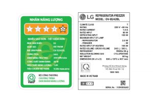 tu-lanh-lg-inverter-243-lit-gv-b242bl-4_dbc055027e2e40bdb1a88adde995f298.jpg