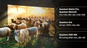 tivi_samsung_2-compressed__20__3a14bf0650ef425f8e5df8319e73533f.jpg
