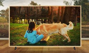 tivi_samsung_5-compressed__5__e7c66a61650c4645b700abdb576cb3e3.jpg