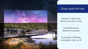 vi-vn-led-4k-samsung-ua65au8100-2_10e3ce6d87274386bd96ef7040a84193.jpg