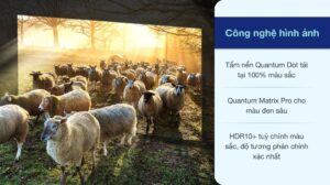 vi-vn-neo-qled-8k-samsung-qa65qn900a-150421-0352552_3d2af68680ca4eac9aeaa422ba059570.jpeg